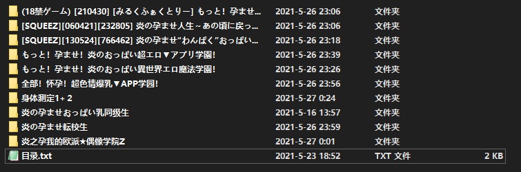 GAL squeez 炎孕（9部合集）部分汉化 PC 49G