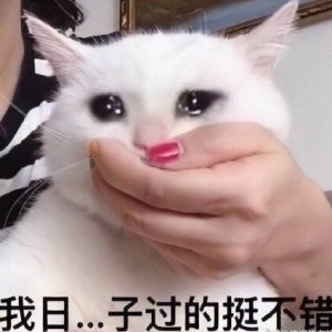 某都民