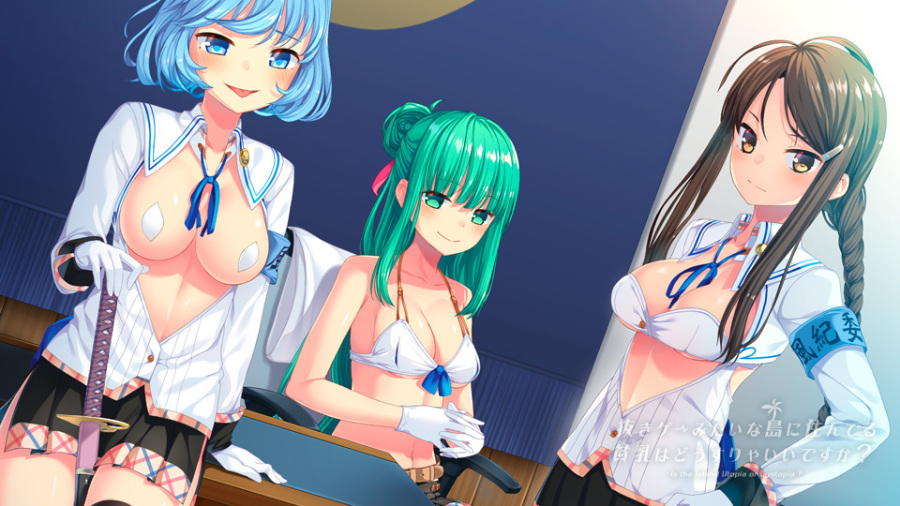 [PC/ADV/汉化] 抜きゲーみたいな島に住んでる貧乳はどうすりゃいいですか？[简中][.7z 5.22G]