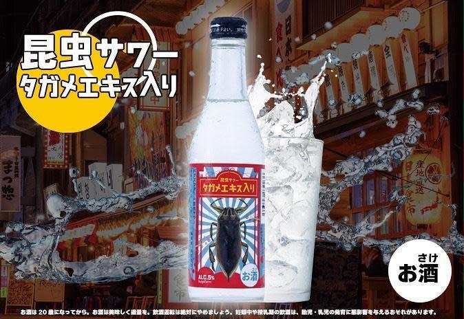 日本酒商生產蟑螂製成氣泡酒！ 昆蟲專家揭密神解答