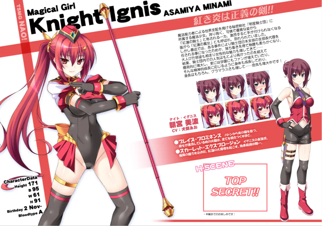 ADV/汉化/CVTS魔法少女闪22.88G