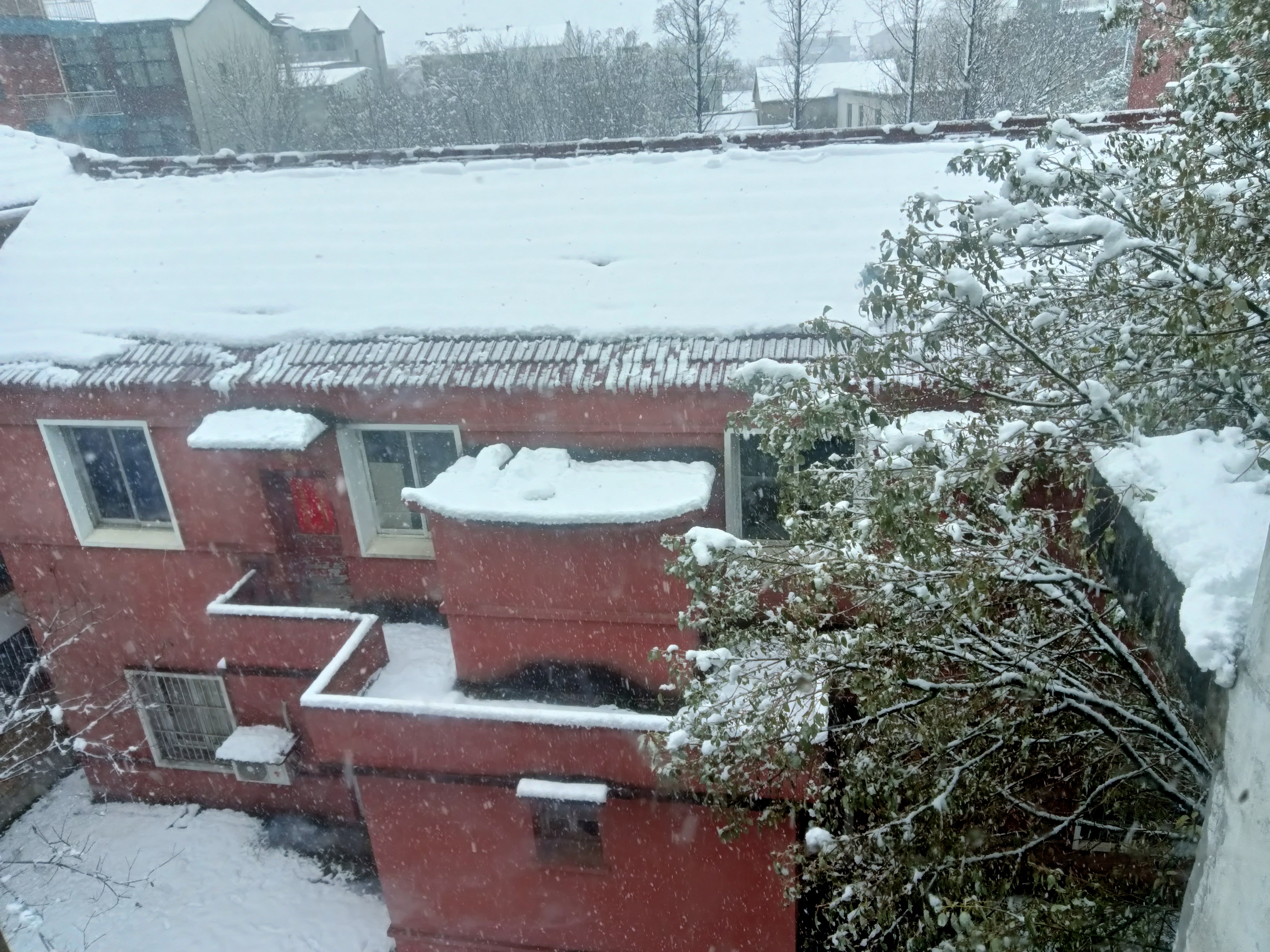 南方,一夜之间雪下的是真的大