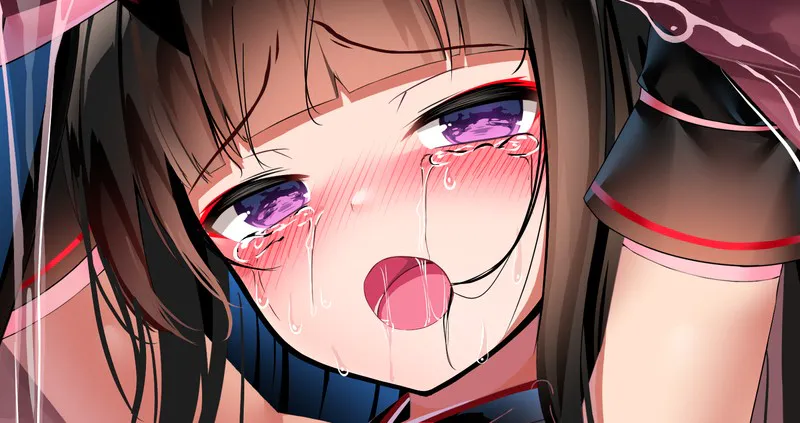 「PC电脑」夜樱姬谭 - 夜桜姫譚「最新AI汉化」