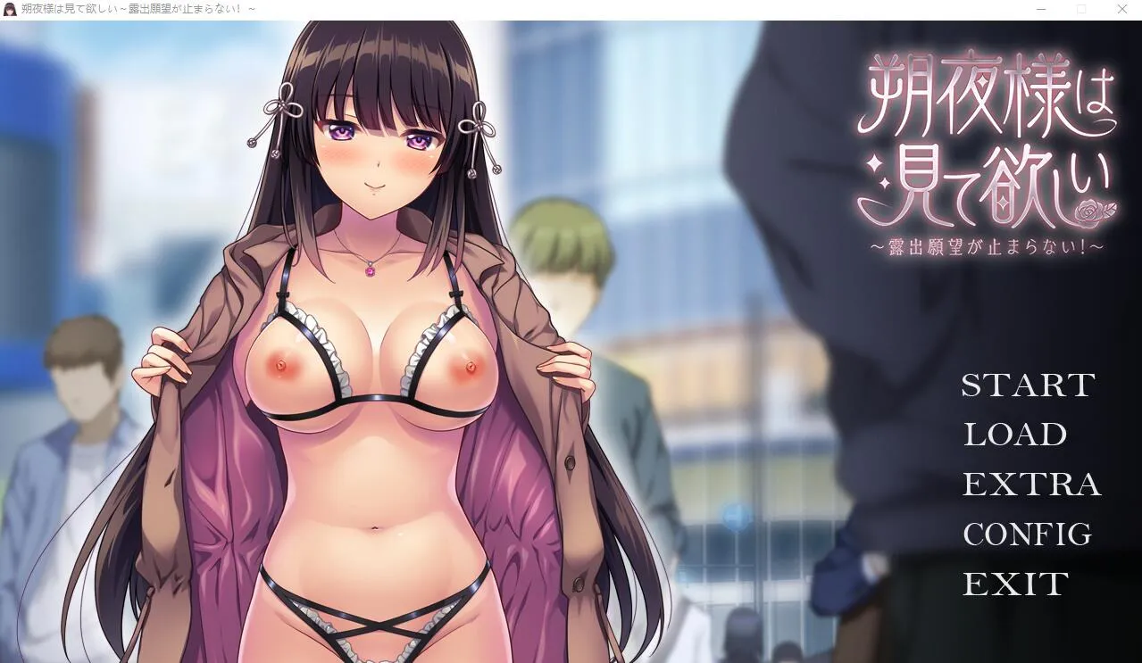 A7880[ADV游戏/汉化]朔夜大人，请看看～无法停止的暴露愿望！～AI汉化版+全CG存档[1.7G]