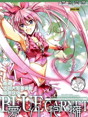 (C80)夢幻抱擁(スイートプリキュア) [中国翻訳]|(C80)梦幻拥抱 (Suite光之美少女)