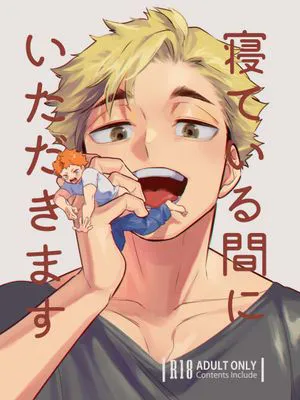 【侑日】寝ている間にいただきます (ハイキュー!!)