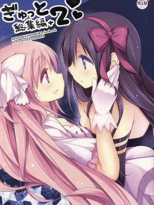 (C89)ぎゅっと総集編(魔法少女まどか☆マギカ) [中国翻訳]