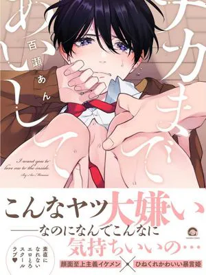 ナカまであいして丨里面也请好好疼爱