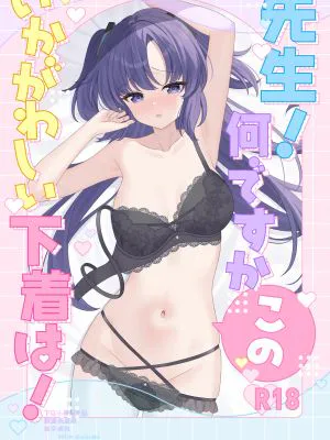 先生!何ですかこのいかがわしい下着は! (ブルーアーカイブ)