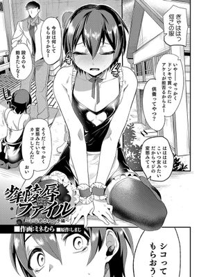 少年陵辱ファイル ～いじめられっ子編～|少年陵辱档案 ～被欺负孩子篇～