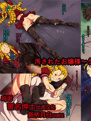 汚されたお嬢様～タイツに染みる汗～ (ストリートファイター) [中国翻訳]