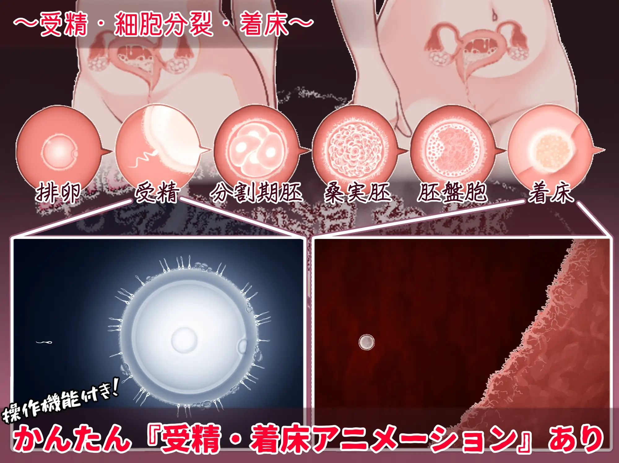 [RPG更新/姐妹丼]欢迎来到！孕育温泉乡 ver1.1.0 ai汉化版+存档 RPG 第5张