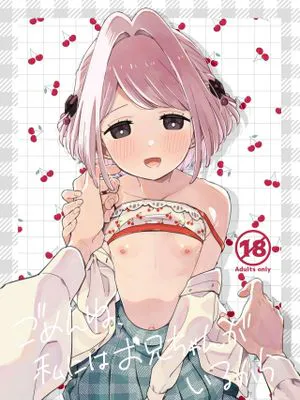 ごめんね、私にはお兄ちゃんがいるから