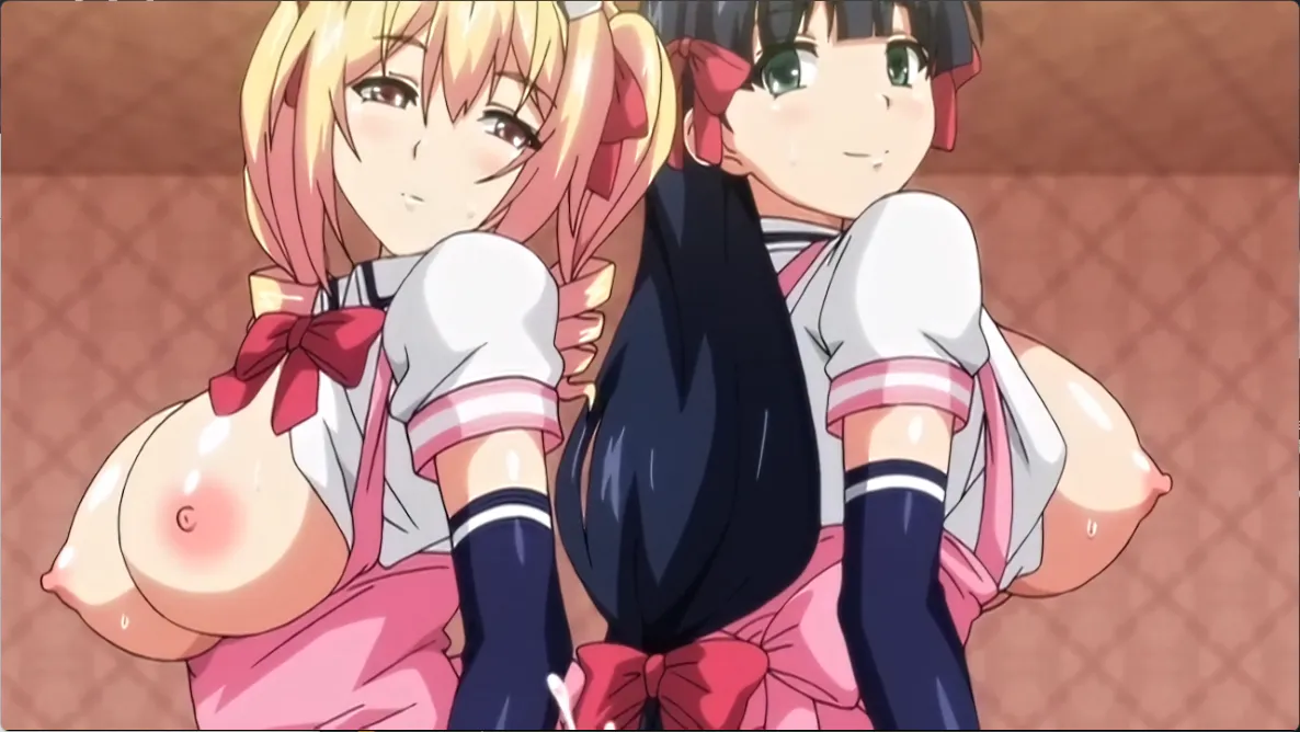 [Maho.sub][BOOTLEG]マヨヒガのお姉さん THE ANIMATION[x264 720P AAC]