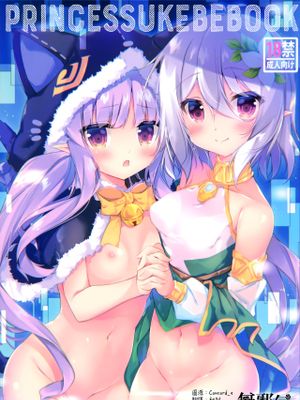 (C97)PRINCESSUKEBEBOOK (プリンセスコネクト!ReDive) [中国翻訳]|(C97)公主色情书 (公主连接!ReDive) [中国翻译]