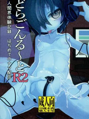 どらごんるーとR2|龙珠R2