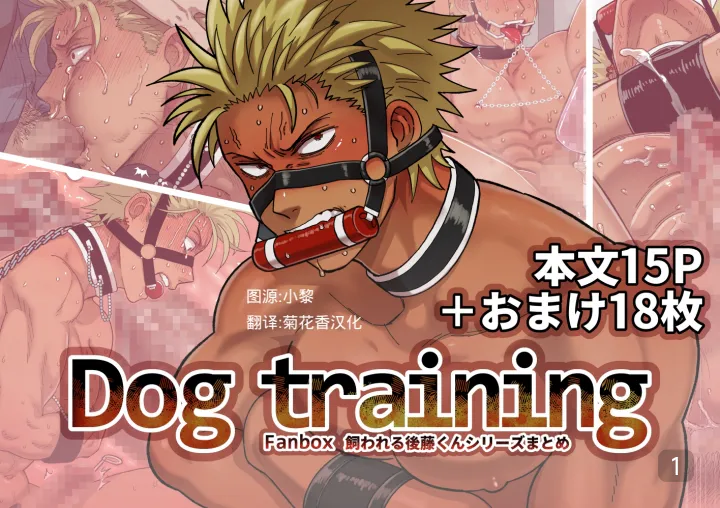 DOG TRAINING|狗狗训练