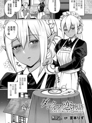 ダークエルフの恋物語|黑暗精灵的恋爱物语