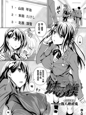 妹の躾 (コミックメガストアH)|妹妹的调教 (COMIC Megastore H)