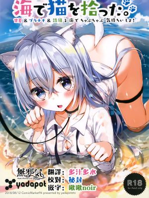 (C94)  海で猫を拾った。 [中国翻訳]|(C94) 在海边捡到了猫。 [中国翻訳]