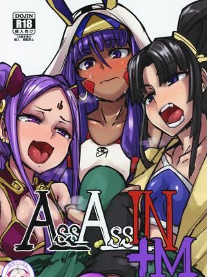 AssAssIN+M (FateGrand Order)