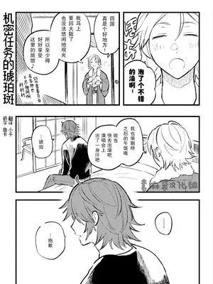 机密任务的琥珀斑[偶像梦幻祭][樱河琥珀x三毛缟斑]