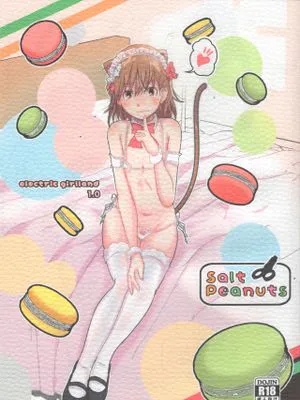 (C97)Electric Girlland 1.0 (とある科学の超電磁砲)[中国翻訳]