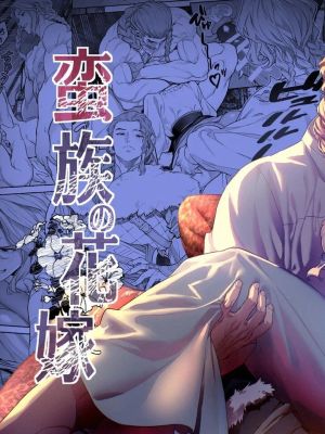 蛮族の花嫁～墜ちた姫君～