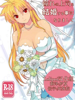 憧れの上司と結婚する事になりまして (魔法少女リリカルなのは)|决定与憧憬的上司结婚了 (魔法少女莉可莉卡尔娜诺哈)