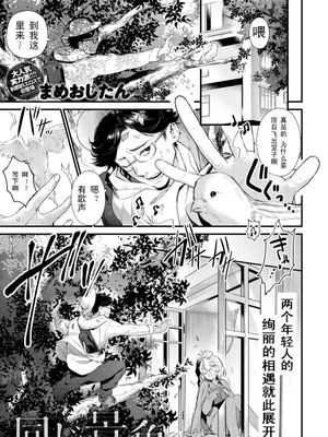 同じ景色|同样的景色