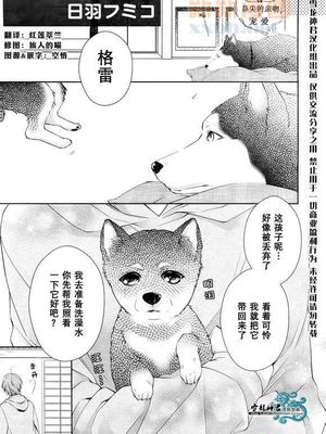 完美KISS