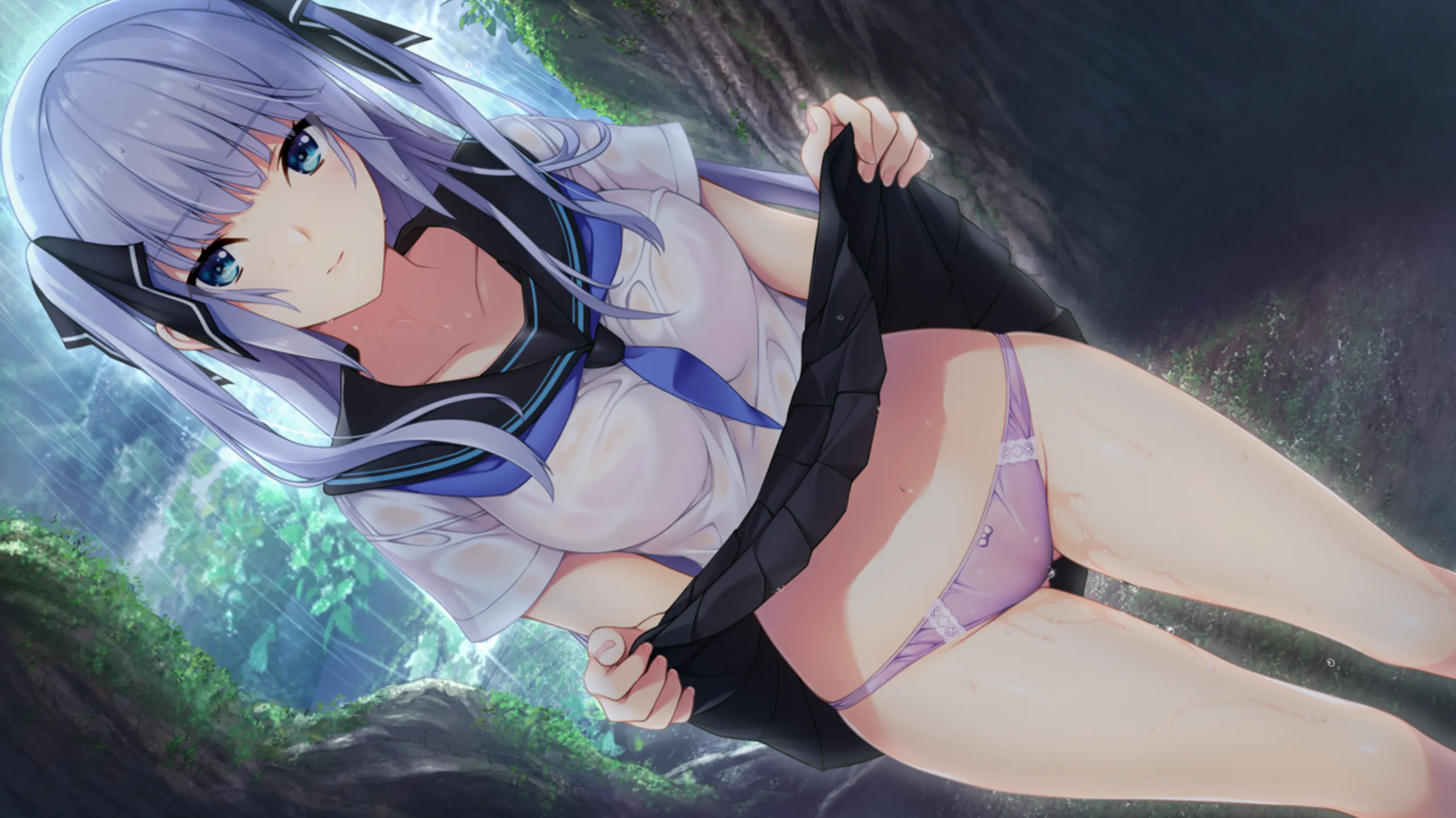 水莲与紫苑【2026S72S7】水蓮と紫苑【ADV/PC/存档】