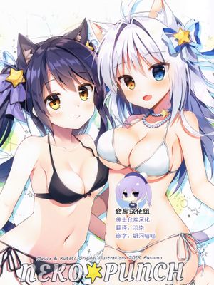 (COMIC1☆14)  NEKO★PUNCH Mizugi [中国翻訳]
