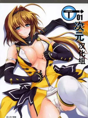 T-01