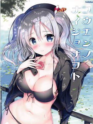 (サンクリ2017 Winter)  こうえんのナイショなこと (艦隊これくしょん -艦これ-)
