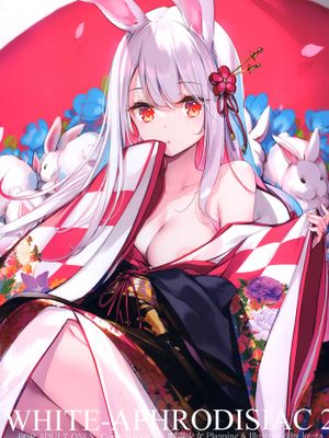 WHITE-APHRODISIAC2 + GRAFFITI Vol.13