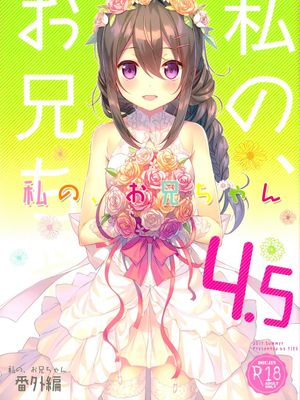 私の、お兄ちゃん4.5 番外編