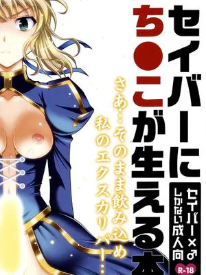 セイバーにち●こが生える本 (Fate/zero)