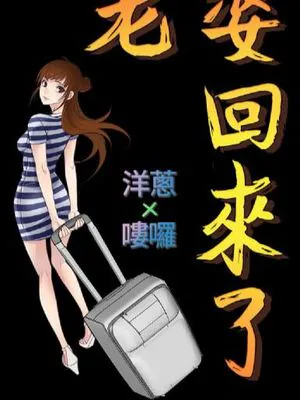 老婆回来了
