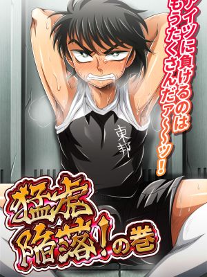 猛虎陥落!の巻 (足球小将翼)