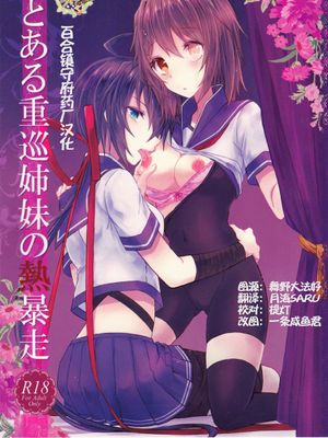 とある重巡姉妹の熱暴走