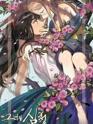 她的沈清