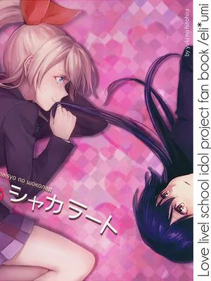 (C89) 内緒のシャカラート(後編) (ラブライブ!) [園田絵里道場]
