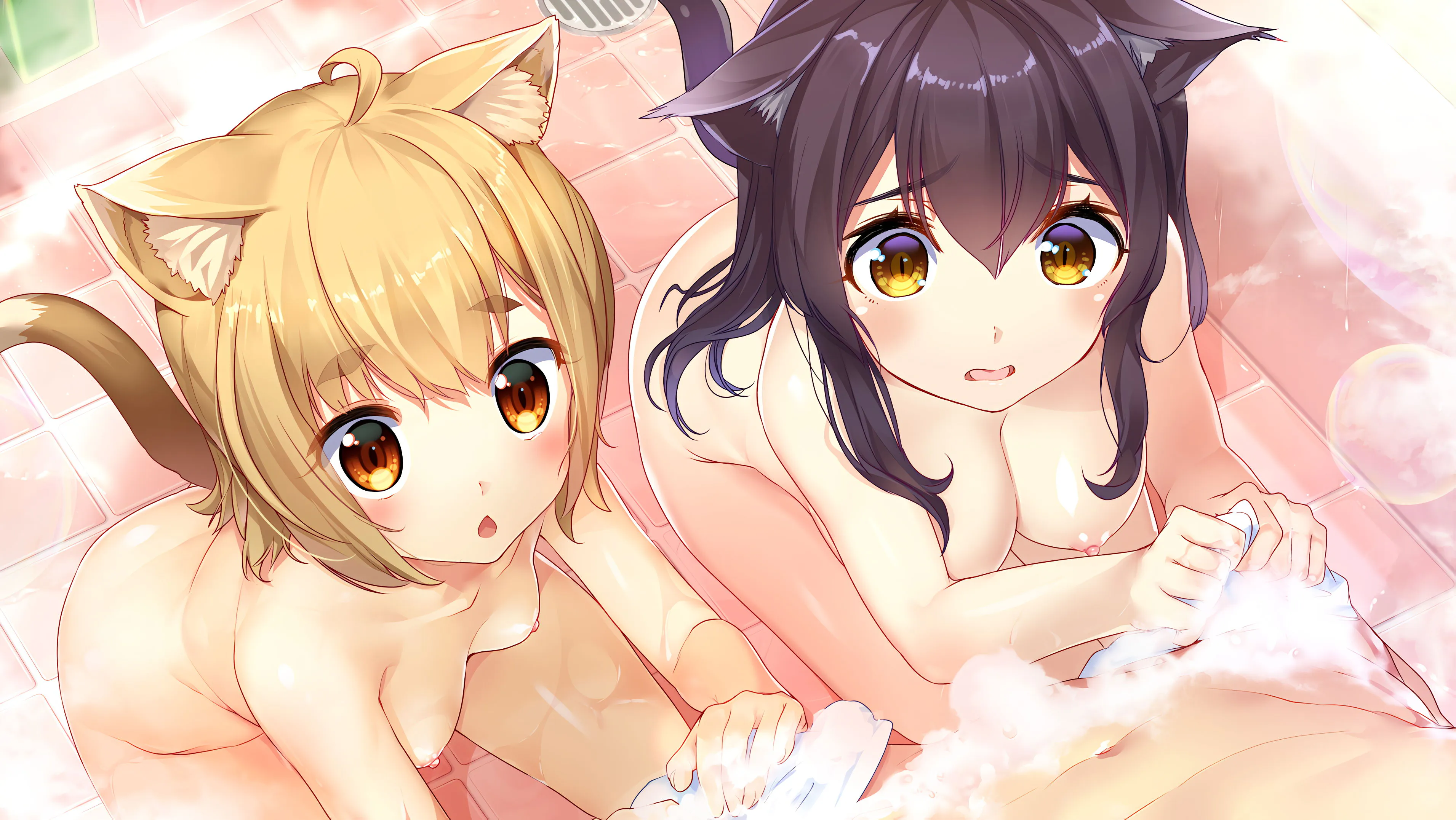 神社里的猫巫女【2026S827S3】ねこみこ【ADV/PC/存档】