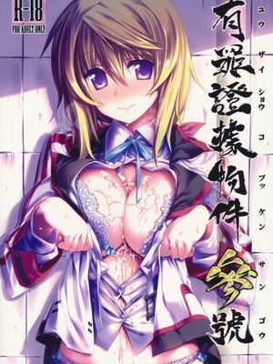 (C80)有罪証拠物件 参号 (IS同人)
