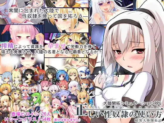 [度盘/迅雷/UC][SLG/PC/汉化] 性奴隶的正确使用方法-暗黑大陆开拓记- 正しい性奴隷の使い方-暗黒大陸開拓記-v2.2.0[1.4G]