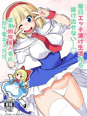 毎日エッチ漬け生活から抜け出せない (東方Project)