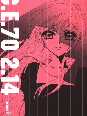 CE70.2.14（高达seed）