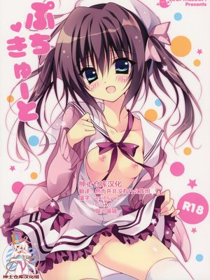 [绅士仓库汉化] (C87) [LOOPTHELOOP! (へるるん)] ぷちきゅーと