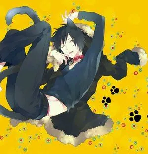 13nyan（デュラララ!!）